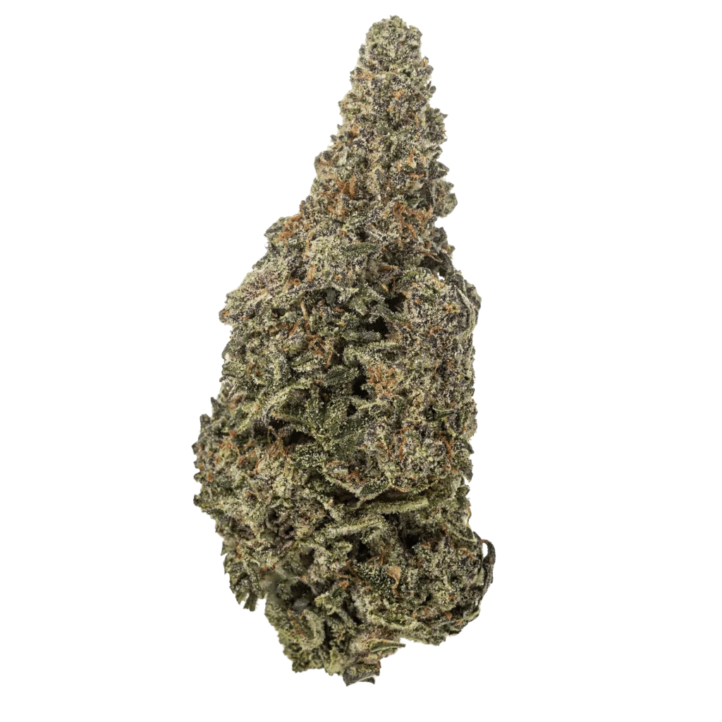 New Medical Cannabis Products at Mendo: August 5th 2026 16 Blueberry Pancakes 7g Flower by Ritual Green