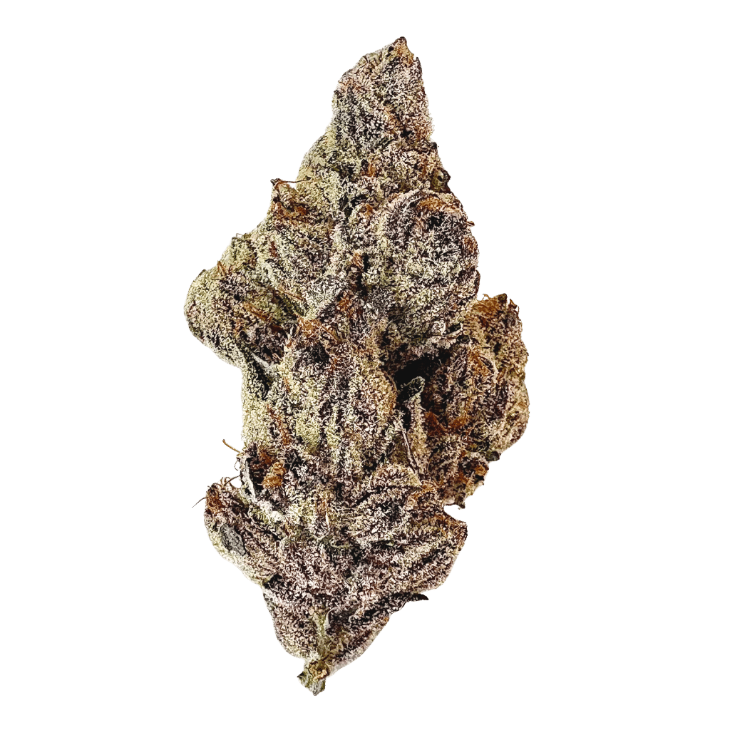 Dracoz 28g Flower par Florakraft