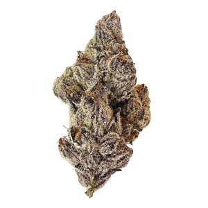 Fleur Dracoz 7 g de Florakraft