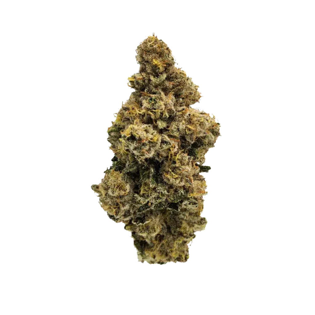 New Medical Cannabis Products at Mendo: August 5th 2026 17 French Cookies 14g by Ritual Green