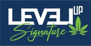 Level Up logo temproaire