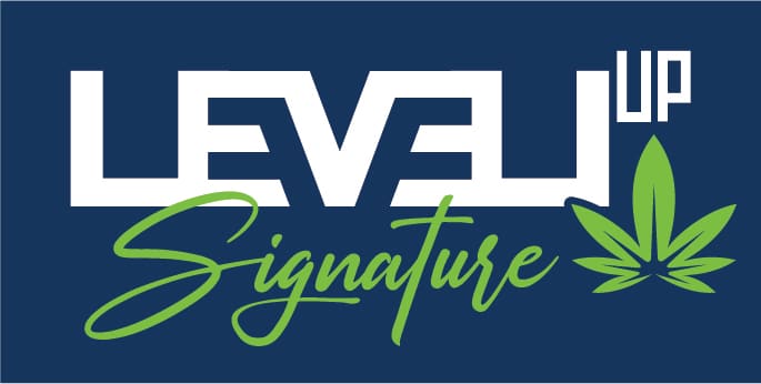 Level Up logo temproaire
