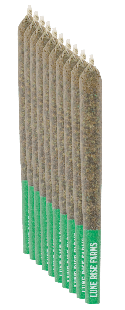 Strawberry Cough Prerolls 10x0.5g by Lune Rise Farms Product