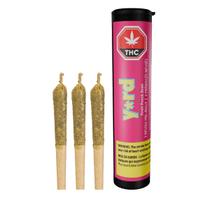 Préroulés infusés Fruit Punch Bowl - 3 x 0,5 g - Tube et préroulés de Yard