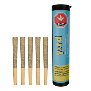 Préroulés Lawn Darts Do-Si Mints - 5x0,5g - Tube et préroulés par Yard