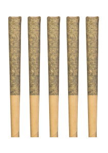 Lawn Darts Do-Si Mints Pre-Rolls - 5x0.5g - Tube & Pre-Rolls by Yard