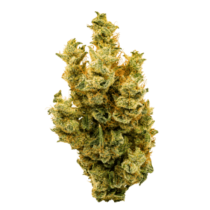 Fleur Banana Mango 7 g de BC Weed CO