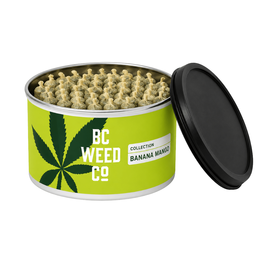 Banana Mango Préroulés 30x0.5g par BC Weed CO (can open)