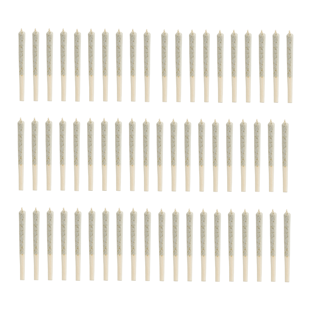 Bangtail - Crossbow (60x0.5g) Préroulés par Homestead
