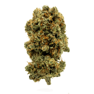 Blue Dream par 1964