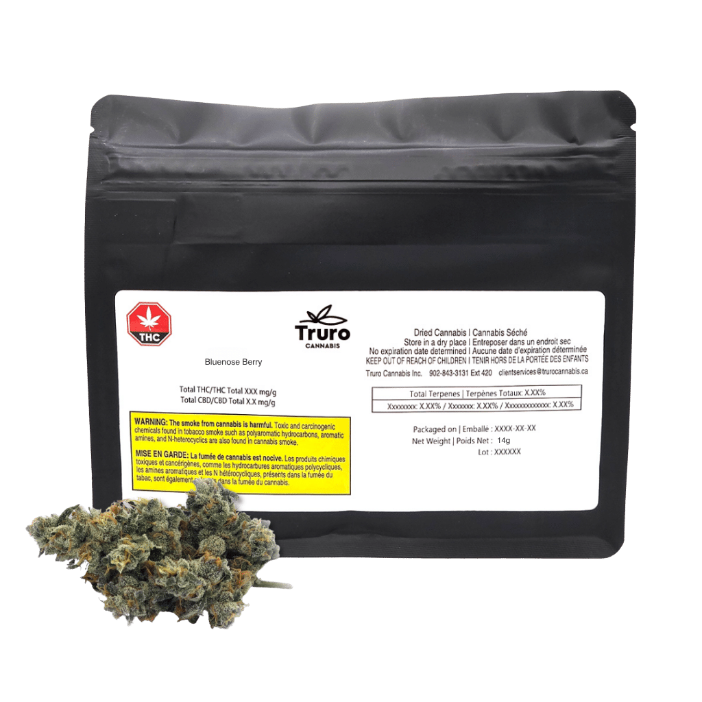 Bluenose Berry 2 Bluenose Berry 14g Flower by Truro Cannabis