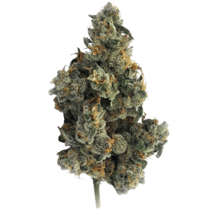 Bluenose Berry 14g Flower by Truro Cannabis