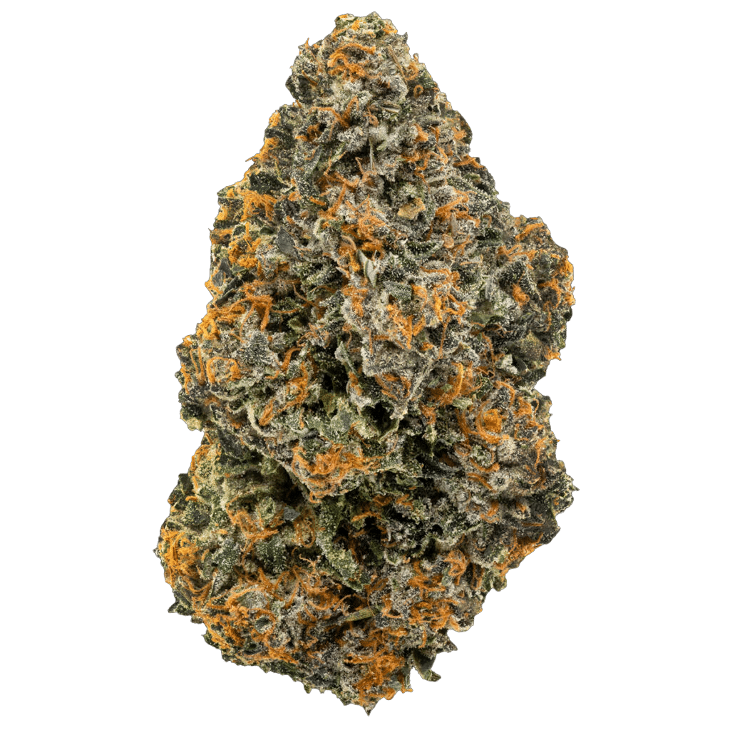 New Medical Cannabis Products at Mendo: September 2nd 2026 17 Crossbow 28g Flower by Homestead