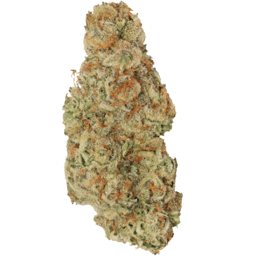 New Medical Cannabis Products at Mendo: August 12th 2026 19 Garlic Mintz 28g Flower by Tuck Shop