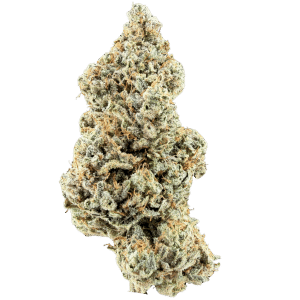 Gorilla Glue #4 de Mendo Select