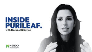 Desiree D Savino of Purileaf featured on a Mendo Medical blog article hero banner