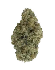 Titanimal By Truro Cannabis