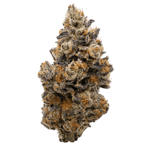 Fleur Platinum OG 7 g par BC Weed CO