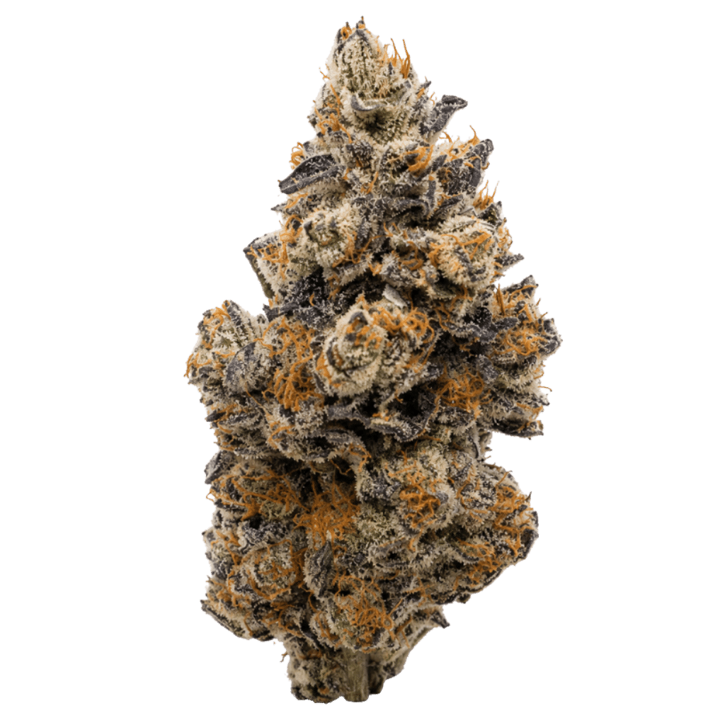 Platinum OG 1 Fleur Platinum OG 7 g par BC Weed CO