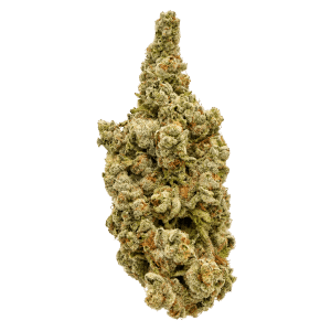 Hulkamania by Ostara Medical