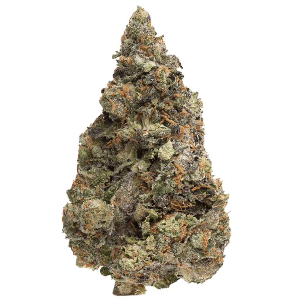 New Medical Cannabis Products at Mendo: September 30th 2026 10 White Runtz 28g Flower by Homestead (2)