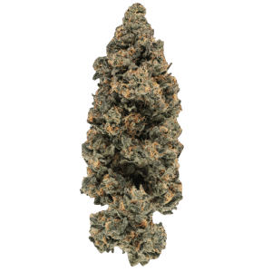 Fleur White Runtz 28 g par Homestead