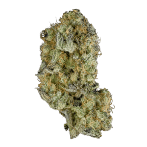 Fleur Mango par Six One Charlie (photo de buds 2)
